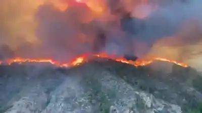 Lo que encontraron en el vehículo calcinado: el devastador incendio en Almería ya deja 12 muertos