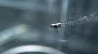 No es un pez ni un insecto: el robot más pequeño del mundo nada sin hélices y funciona con luz