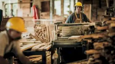 Industria: En Noviembre, El Uso De La Capacidad Instalada Llegó Al Nivel Más Bajo En Ocho Meses