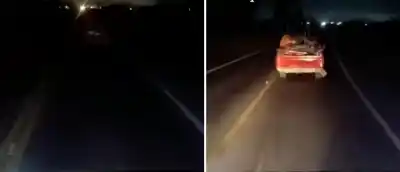La desesperación de un camionero al toparse con un fantasma en la ruta 38