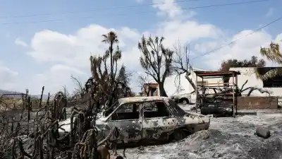 Incendio en España: el misterio de los 10 desaparecidos y la identificación de las víctimas que mantiene en vilo a Europa