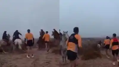 Corredores atacados a piedrazos y boleadoras: el violento episodio que marcó una tradicional carrera en Río Negro