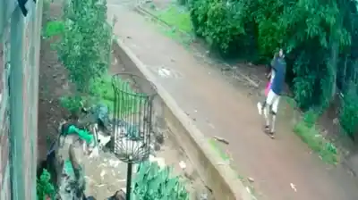 El desgarrador grito de una nena de 7 años que alertó a su padre y evitó una tragedia en Misiones