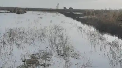 Caminos destruidos en Necochea: cosechas varadas y contratos que se caen
