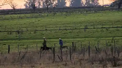 Presentan proyecto para prohibir la caza en campos bonaerenses: ¿el fin de las cuadrillas con galgos?