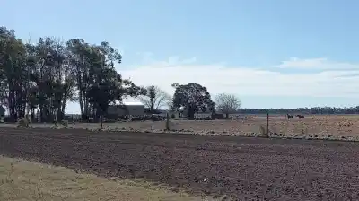 Duras críticas de la oposición a la reforma de la Ley de Tierras: ¿qué buscan frenar?