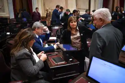 La ley de Propiedad Privada se estancó en el Senado: la interna que destapó la pelea por las tierras