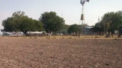 Alerta en el campo: la reforma de la Ley de Tierras que pone en jaque las fronteras y el agua