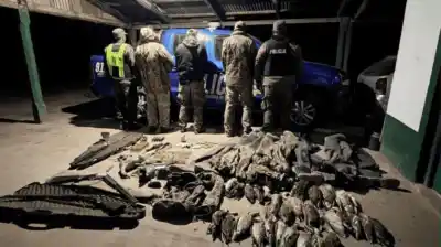 Tres detenidos en Santa Fe: organizaban cacerías ilegales para turistas franceses