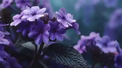 La planta secreta que perfuma tu jardín con olor a vainilla