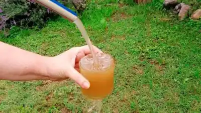 Turistas y vecinos de El Mollar, Tucumán, abandonan sus vacaciones por la falta de agua potable