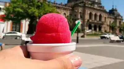 La Municipalidad de San Miguel de Tucumán oficializó la ordenanza que regula y promueve la venta de achilata