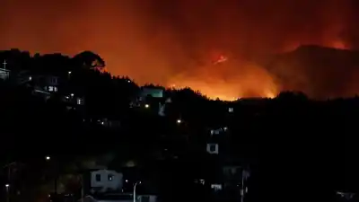 Sur de Chile: 16 víctimas fatales y más de 50 mil evacuados por incendios forestales