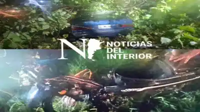 Un árbol gigante cayó en la ruta 65 de Tucumán y provocó un choque doble con un herido