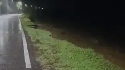 El temporal azota a Tucumán: cortes de ruta, ríos desbordados y evacuaciones en marcha