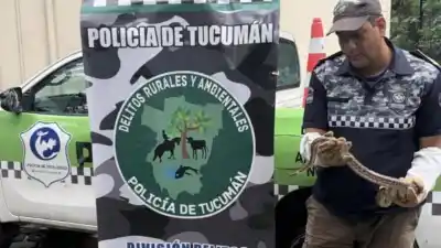 Una familia de Lomas de Tafí entregó una boa y la Policía la rescató para el Instituto Lillo