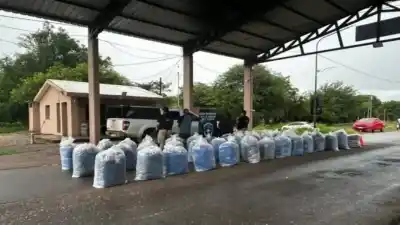 Frontera Norte: incautan casi una tonelada de hojas de coca en un control rutero