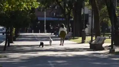 Alerta amarilla por tormentas en Tucumán: cómo afectará el tiempo este lunes