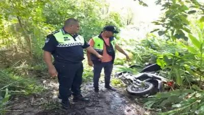 Operativo en Concepción: hallan moto robada de Monteros oculta en un plantío de marihuana
