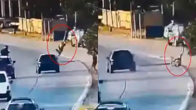Quilmes: ladrón voló por el aire tras ser atropellado en un intento de robo. Video
