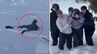 China: la selfie que casi le cuesta la vida a una esquiadora atacada por un leopardo