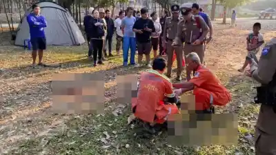 Tailandia: un elefante en celo aplasta a un hombre durante una caminata matutina