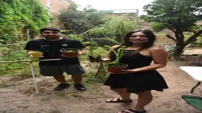Barrio El Bosque: El secreto que esconden en su patio y que ya vendieron miles de veces