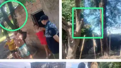 Las jaulas vacías de Tafí Viejo: el rescate que nadie esperaba