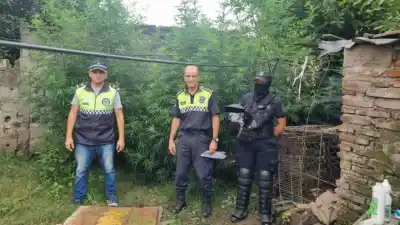 Allanamientos en Aguilares: Iban tras los agresores de un corsista y se toparon con un hallazgo inesperado