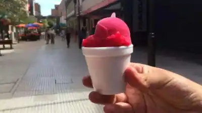 El Concejo de San Miguel de Tucumán declara a la achilata de interés turístico en medio de una fuerte polémica