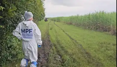 El misterio del comerciante desaparecido: la pista médica que cambió todo