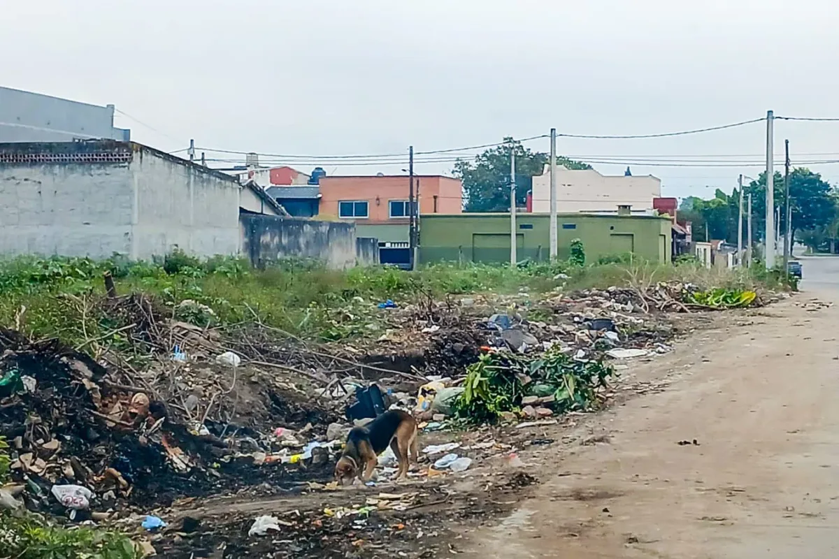 Vecinos celebran la transformación