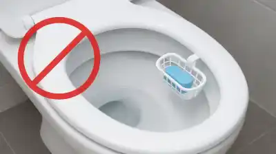 El objeto que tocás todos los días y es un nido de bacterias: ni la pava ni la tostadora