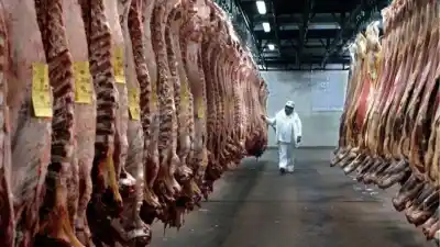 El asado argentino en peligro: la advertencia de un economista que pone en jaque la mesa familiar