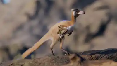 El hallazgo que reescribe la historia: el dinosaurio más pequeño de Sudamérica vivió en la Patagonia