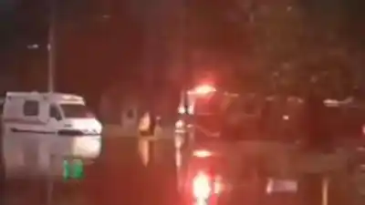 El temporal que azotó Tucumán dejó un panorama desolador: caída de árboles y postes en plena madrugada
