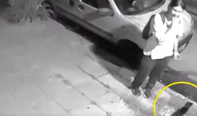 El misterioso “robagatos” del AMBA: captado en video mientras ingresaba a casas y lanzaba animales