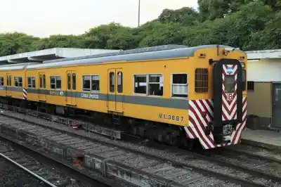 Un músico casi pierde la vista en un tren: la justicia ordenó una millonaria indemnización tras siete años de lucha
