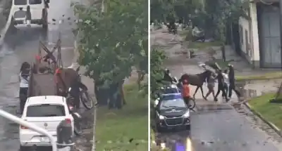 Imágenes de seguridad captaron el brutal momento del maltrato y el desenlace que indigna
