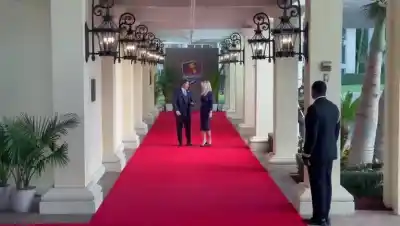 Milei se reúne con Trump en Miami: ¿Qué se juega Argentina en la cumbre de seguridad?
