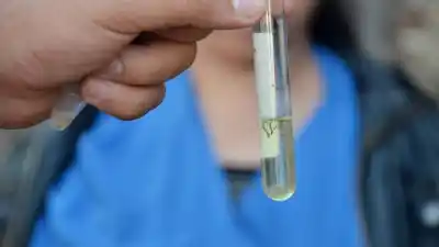 Alerta sanitaria en Tucumán: Confirman un caso de chikungunya y analizan otros dos