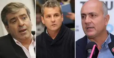 Agresión en La Madrid: un cabezazo lesiona al diputado Pelli en medio de la ayuda por inundaciones
