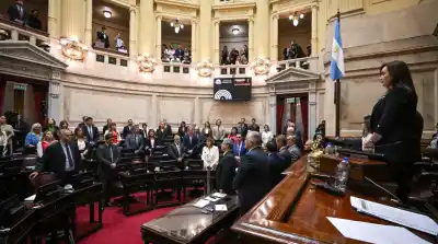 Polémica en el Senado: el aumento automático que dispara las dietas y genera rechazo interno