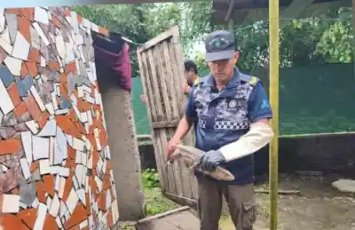 Un inesperado visitante reptiliano asustó a una familia en Monteros: así fue el rescate