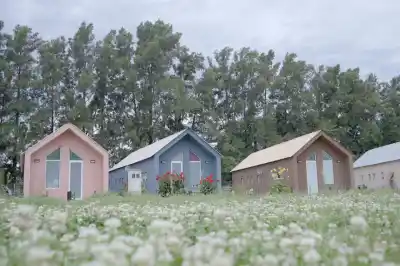 Un oasis de esperanza: el primer barrio argentino construido íntegramente por mujeres