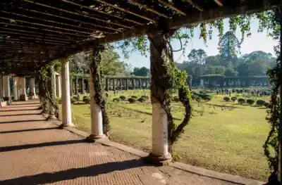 El Rosedal del 9 de Julio se transforma: el ambicioso plan para recuperar un símbolo tucumano