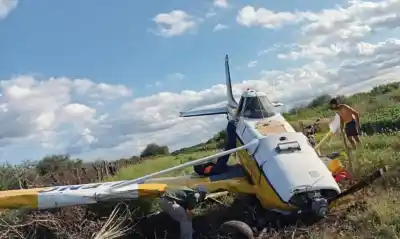 Una avioneta cayó en un campo de Santiago del Estero y la sospecha de un “vuelo narco” movilizó a Gendarmería
