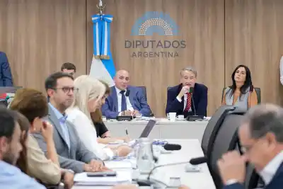 La Cámara baja se alista para el debate clave: audiencias públicas por la Ley de Glaciares arrancan esta semana