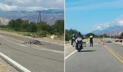 Tragedia en la Ruta 40: Joven detenido tras atropellar mortalmente a una ciclista en Amaicha