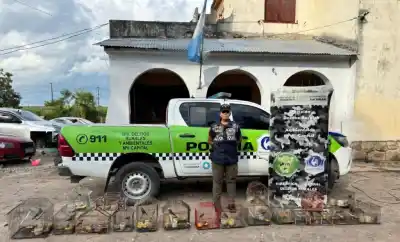 Operativo sorpresa en Tucumán: lo que hallaron en una casa de Las Talitas dejó a todos boquiabiertos